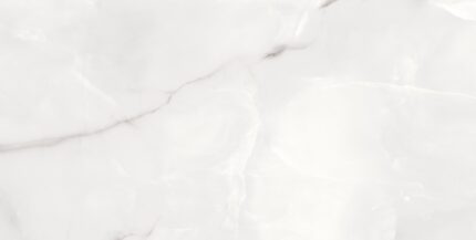 Venato Onice Gris 60x120 (2)