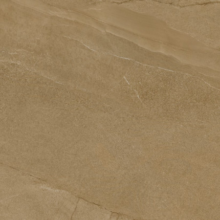 Halley 2cm Taupe 1